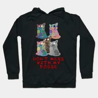 Don't Mess With My Posse Hoodie